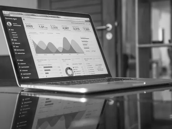 Charts at laptop screen